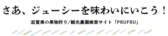 情報を探そう