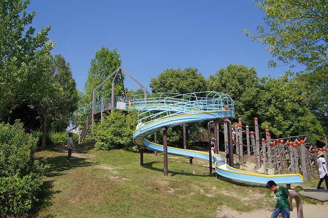 東近江市のひばり公園は、小さい子供から大人まで全員が楽しめる公園なんです。