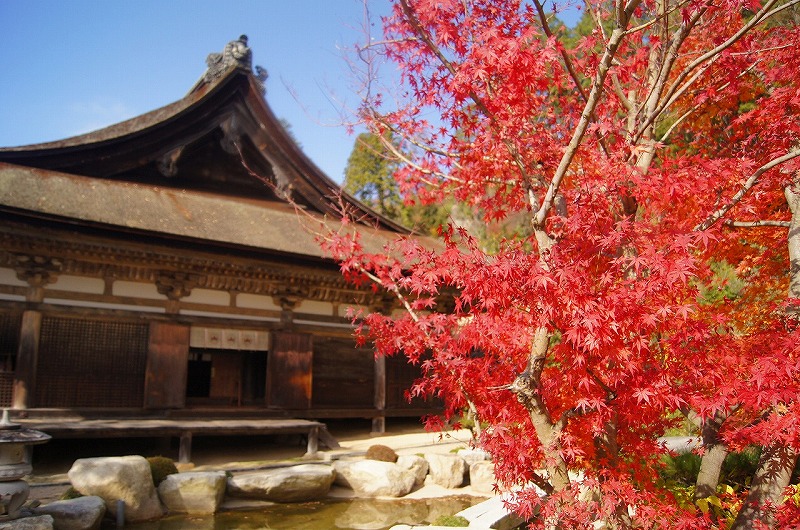 湖南三山の「善水寺」は紅葉の時期に写真が撮りやすい満喫スポットでした。