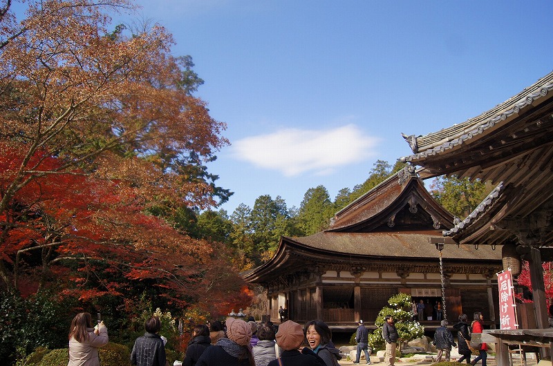 湖南三山の「善水寺」は紅葉の時期に写真が撮りやすい満喫スポットでした。