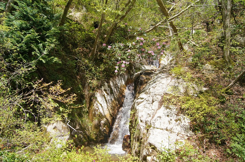 ファーストトライ！高島市にある日本の滝百選「八ツ淵の滝」に挑戦する。