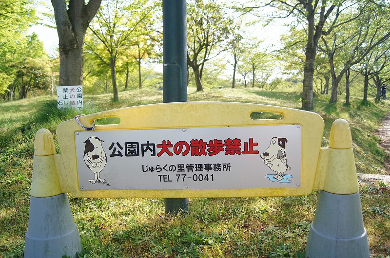 犬の散歩禁止ですよ－