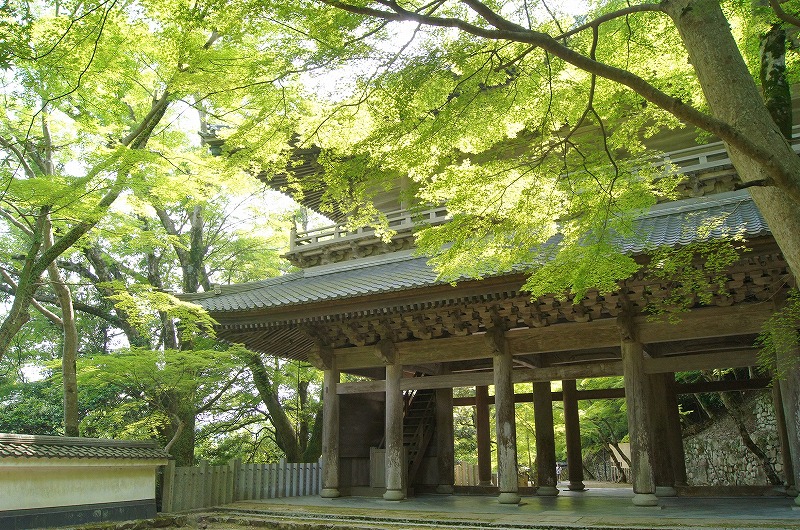 【東近江市のおすすめ神社仏閣まとめ】臨済宗永源寺派 大本山「永源寺」