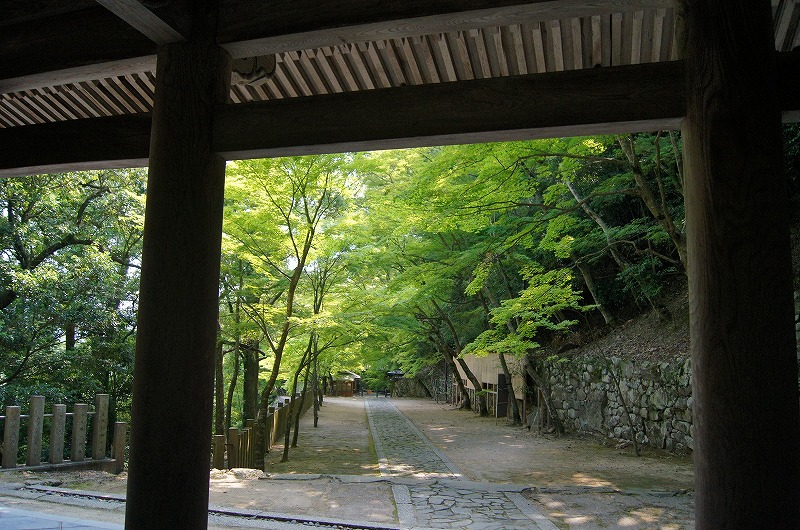 6月の暑い季節。新緑の永源寺に心奪われた休日のお話。