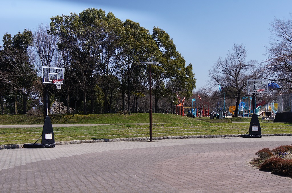 【長浜市の子どもと遊べる公園まとめ】奥びわスポーツの森のバスケットコート