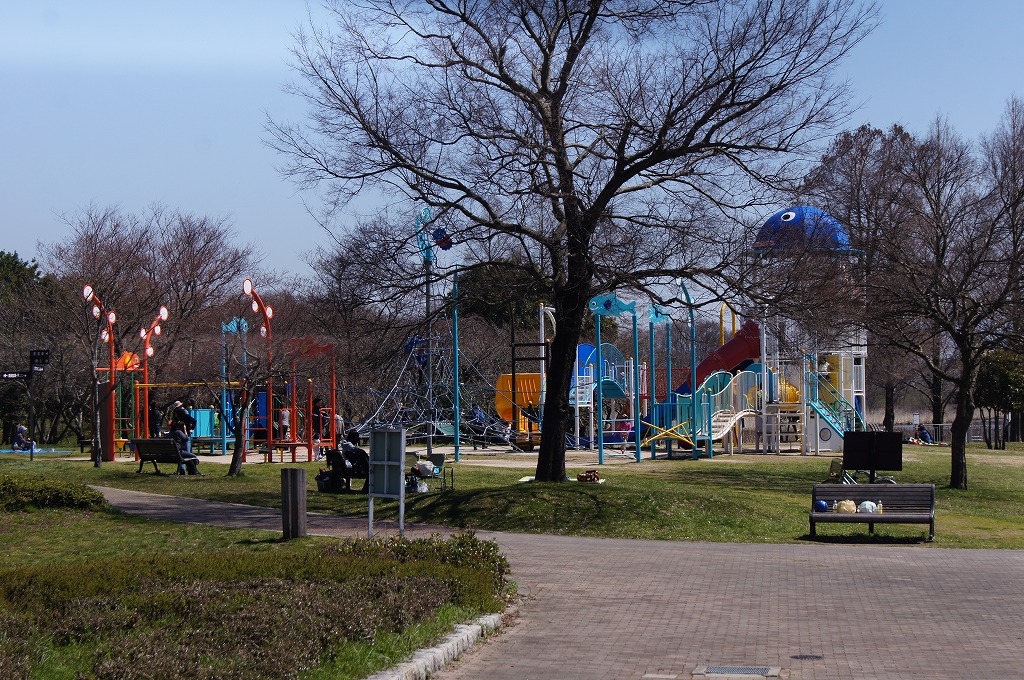 【長浜市の子どもと遊べる公園まとめ】奥びわスポーツの森の遊具広場