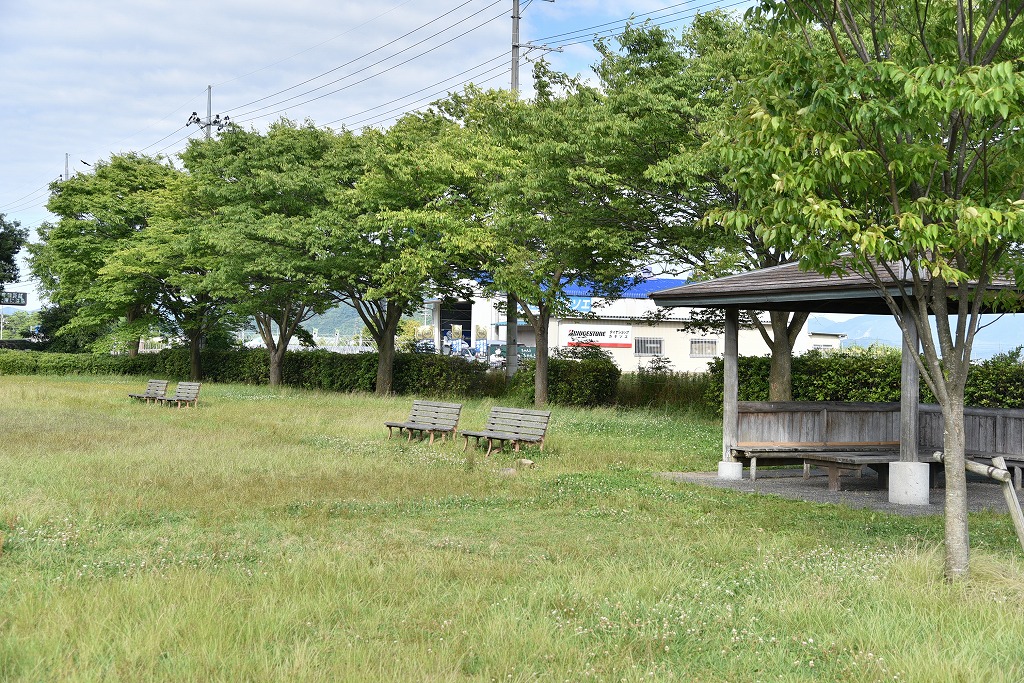 彦根市の湖岸緑地 新海薩摩地区はすぐびわ湖 遊具 q可という便利な場所でした 日刊 彦根市