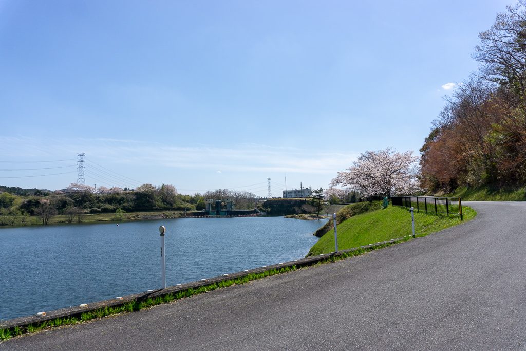 滋賀 日野町の桜 バス釣りで人気の 日野川ダム は 桜の美しいダムスポットでした 日刊 滋賀県