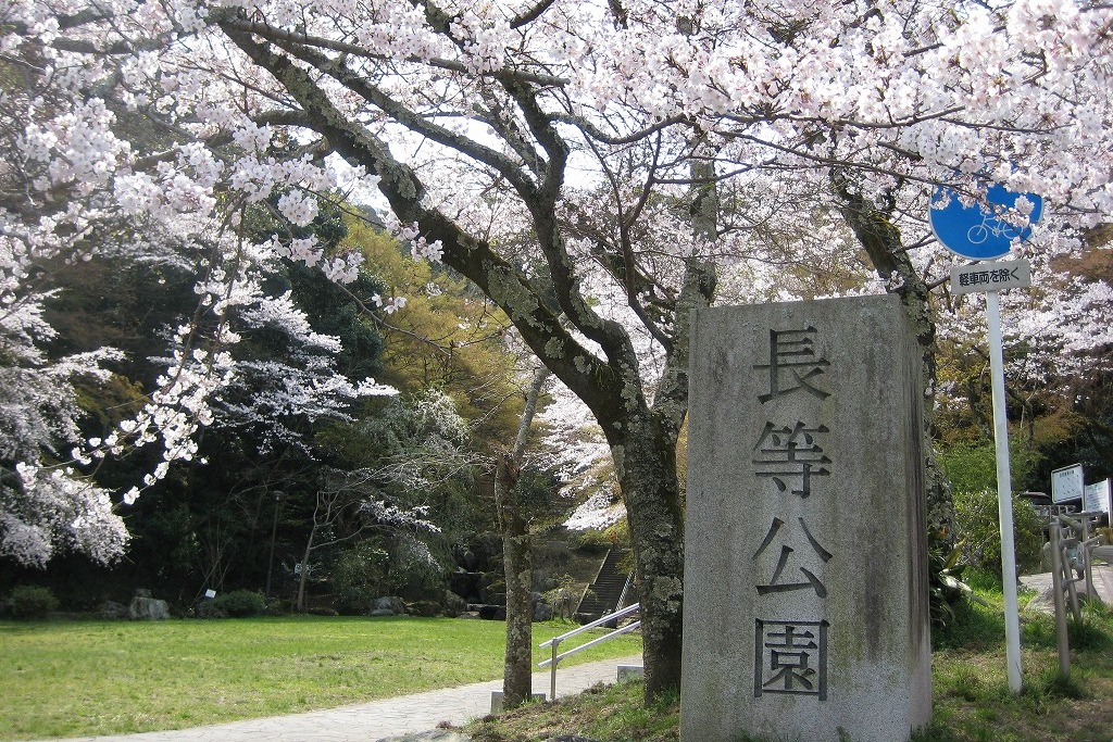 【長等公園】大津の桜スポットといえばここ！ハイキングも楽しめる花見コース【子供向け遊具あり】