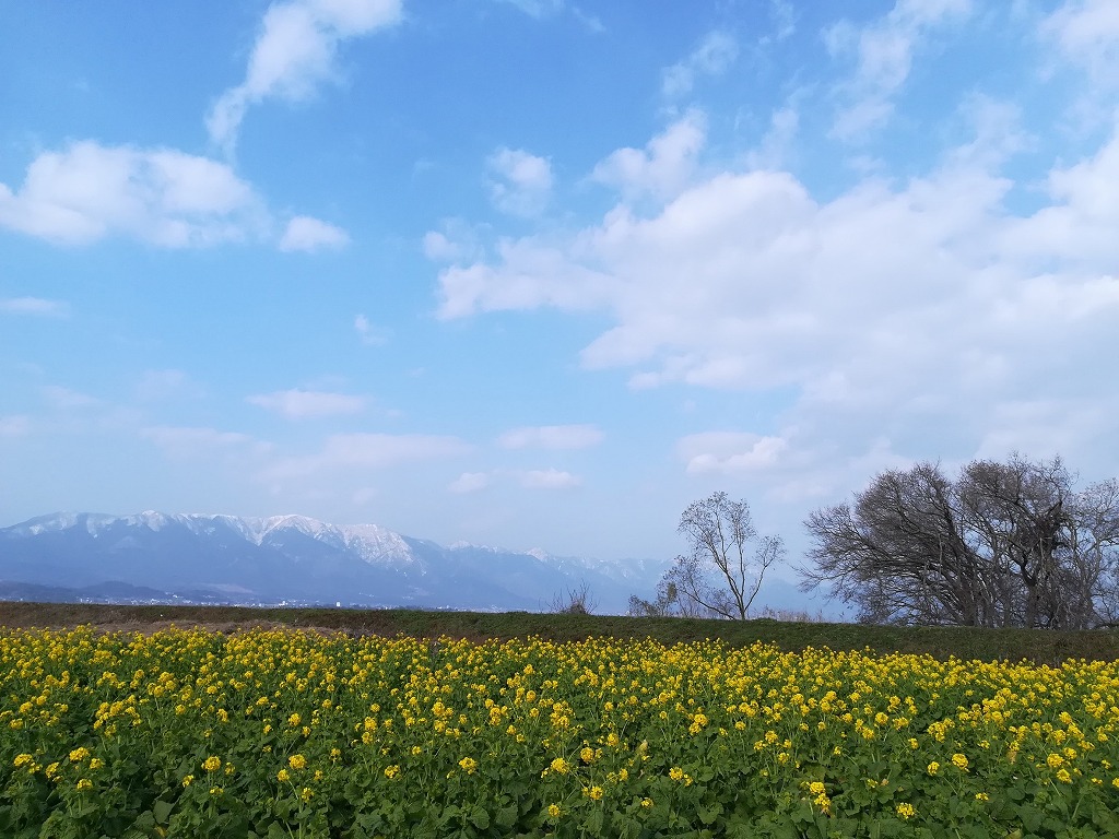 守山市のおすすめ観光地・第1なぎさ公園