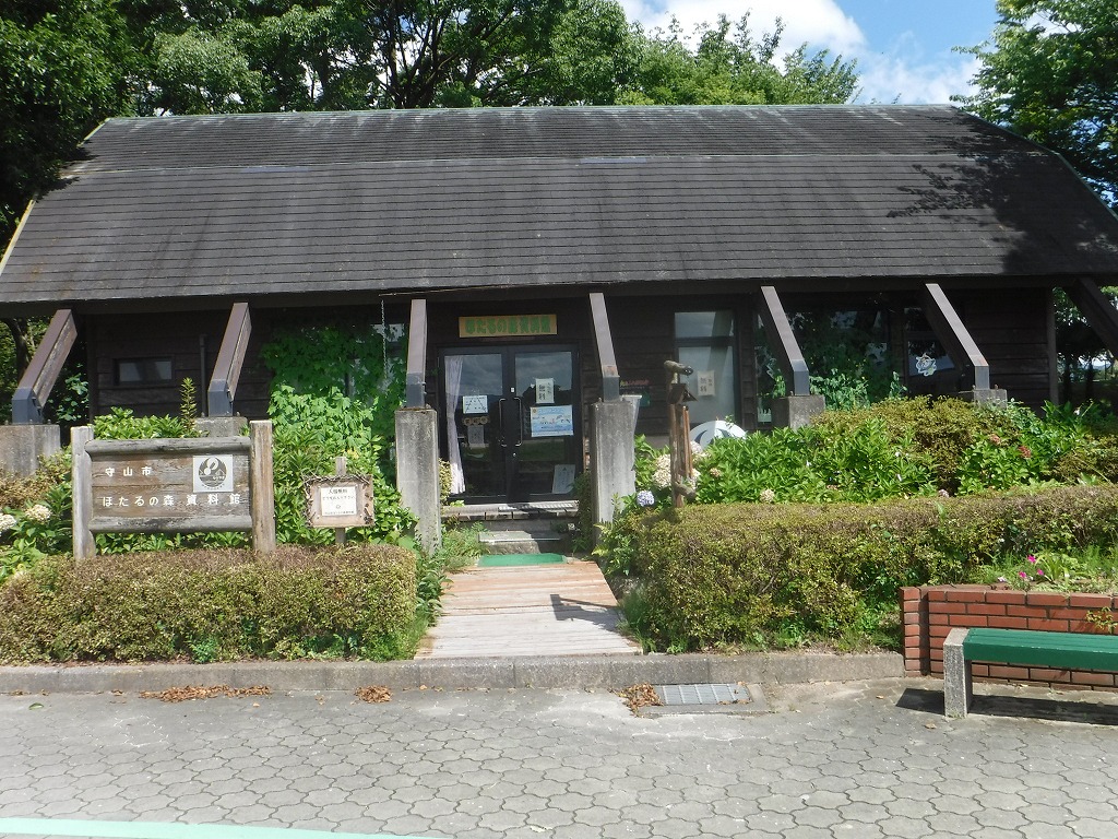 【入館無料】ホタル好き必見！守山市民運動公園内「守山市ほたるの森資料館」レポート！ホタルの幼虫も観察できました。　