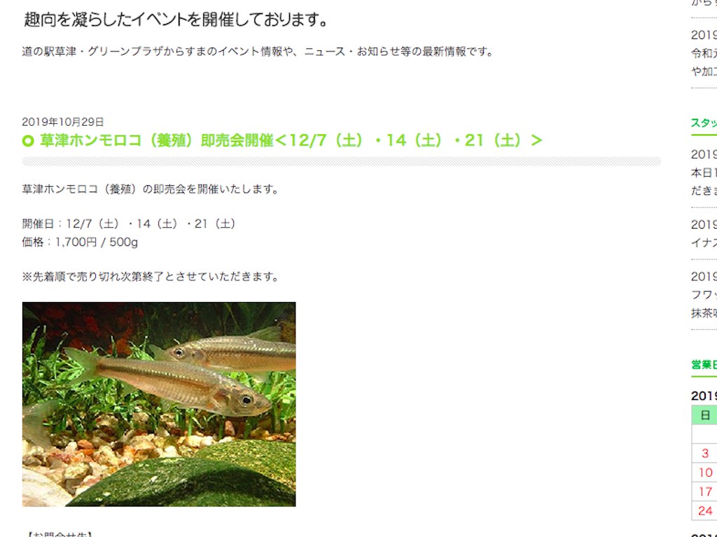 今年も道の駅草津「グリーンプラザからすま」にて、草津ホンモロコ（養殖）の即売会が開催されます！びわ湖の味、この機会に是非！