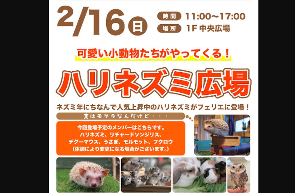 2/16（日）きゃわたん！小動物が集まる「ハリネズミ広場」がフェリエ南草津に登場！遊びに行こー！