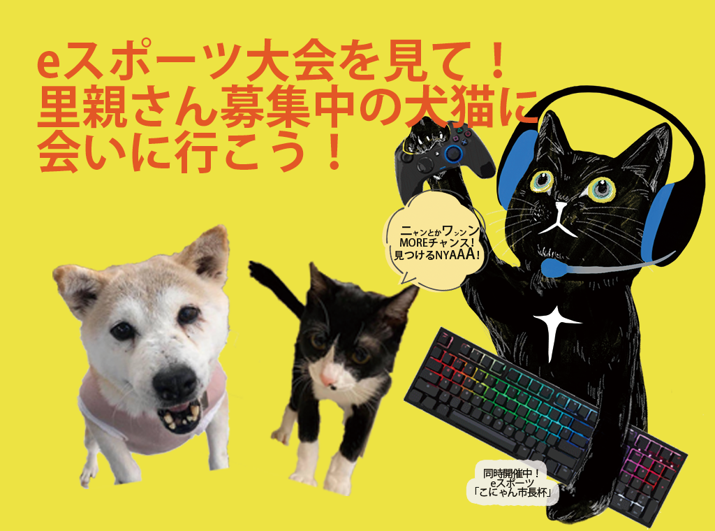 エンタメと動物福祉のイベント「eスポーツでエキサイト！保護犬猫にリラックス！」湖南市のHATで開催！