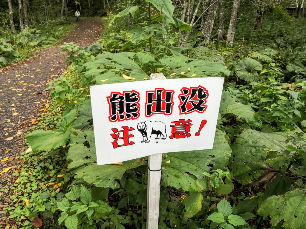 【東近江市】クマの目撃情報！これからの季節は警戒を！