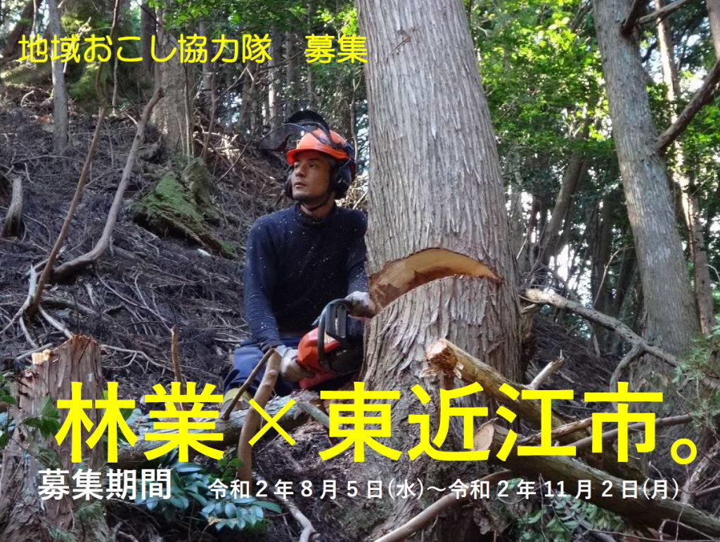 【林業×東近江市】地域おこし協力隊募集のチラシ