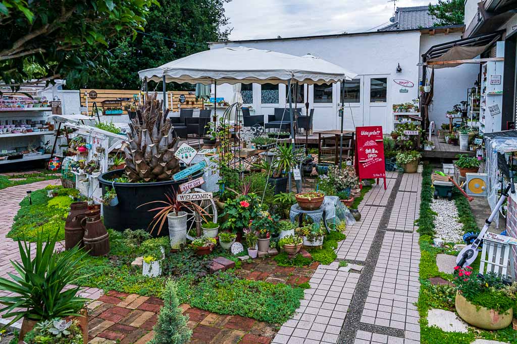 日野町に「Lahaina Garden（ラハイナガーデン）」がオープンしています！カフェで多肉植物の販売もあって、モルタル教室もしている盛りだくさんなニュースポット！