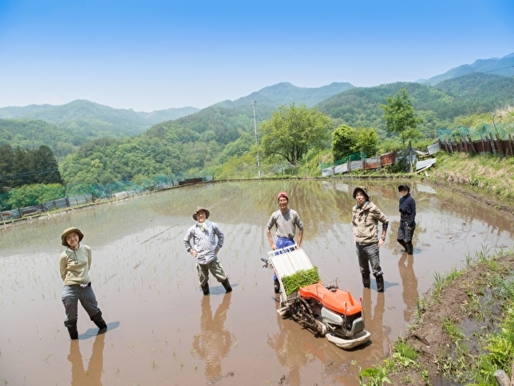 琵琶湖博物館で昔ながらの「田んぼ体験」をしてみませんか？稲刈りやハサ掛け体験を実施！参加は先着20名なのでお早めに！