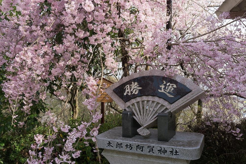東近江市のおすすめ観光スポット・「太郎坊・阿賀神社」
