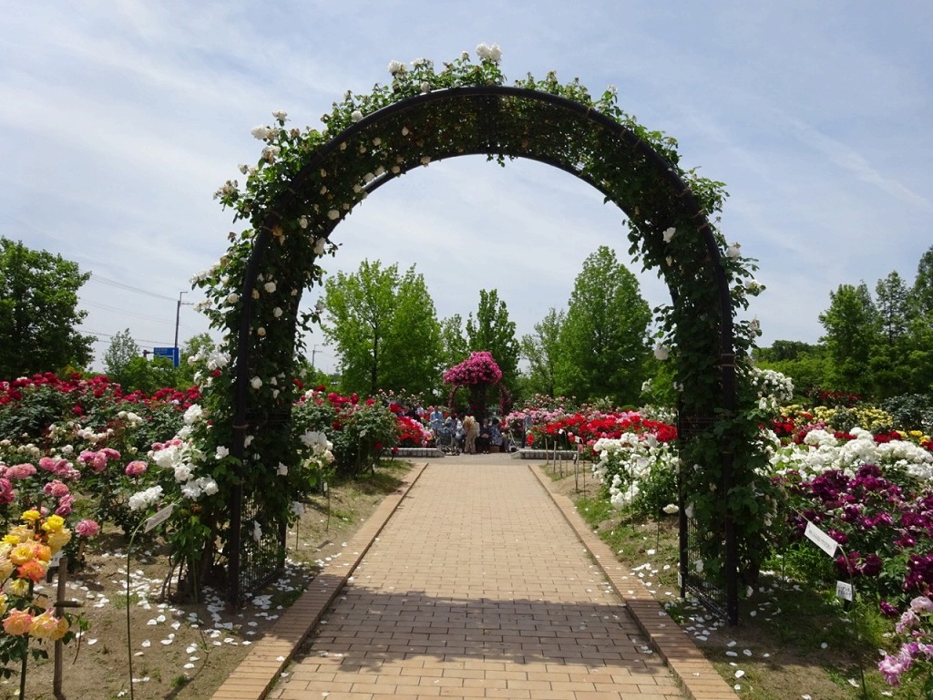 滋賀県 年 愛犬と楽しめる公園まとめ ペットとお出かけ 滋賀県公園ナビマップ