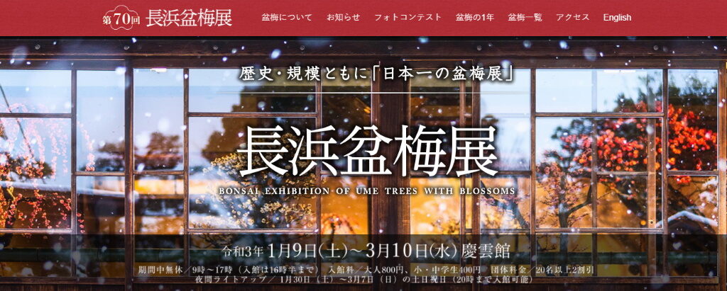 長浜市の人気観光スポット・慶雲館（けいうんかん）で行われる「長浜盆梅展」のホームページ