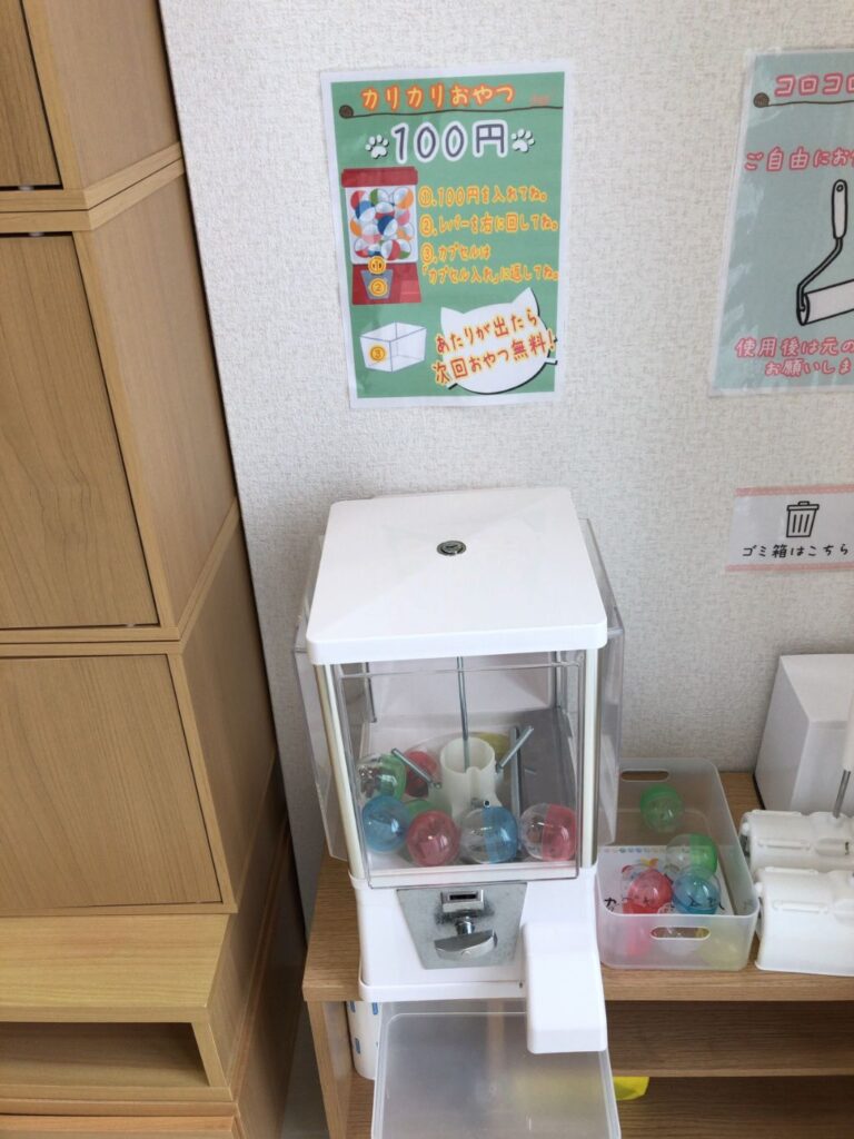 滋賀県長浜市にある猫カフェ「にゃんずはうす」内の猫おやつが購入できるガチャガチャ