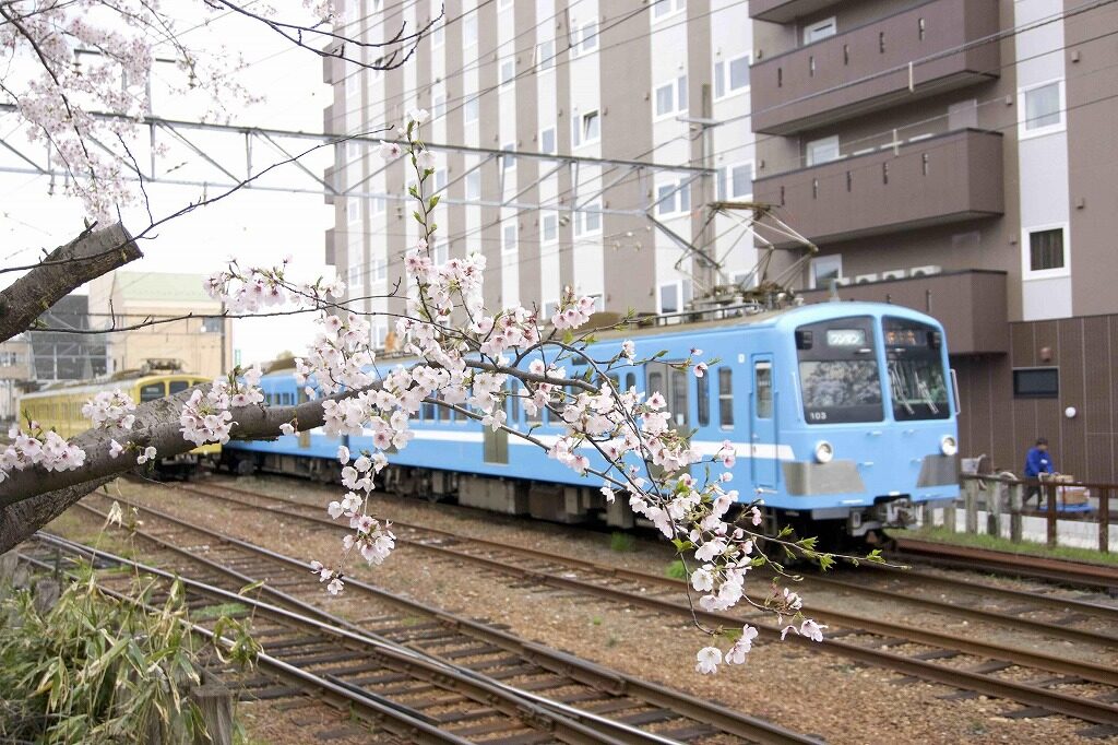近江鉄道の青い電車