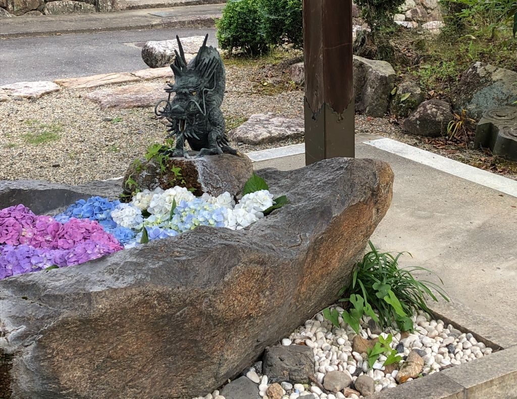 甲賀市・矢川神社の花手水（「忍者の里のあじさい花手水」期間中）