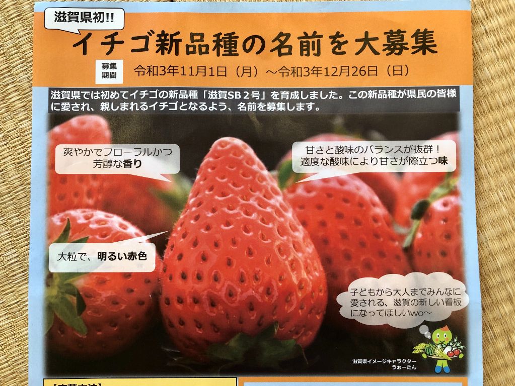 滋賀県初のいちごの品種の名前を募集中のチラシ