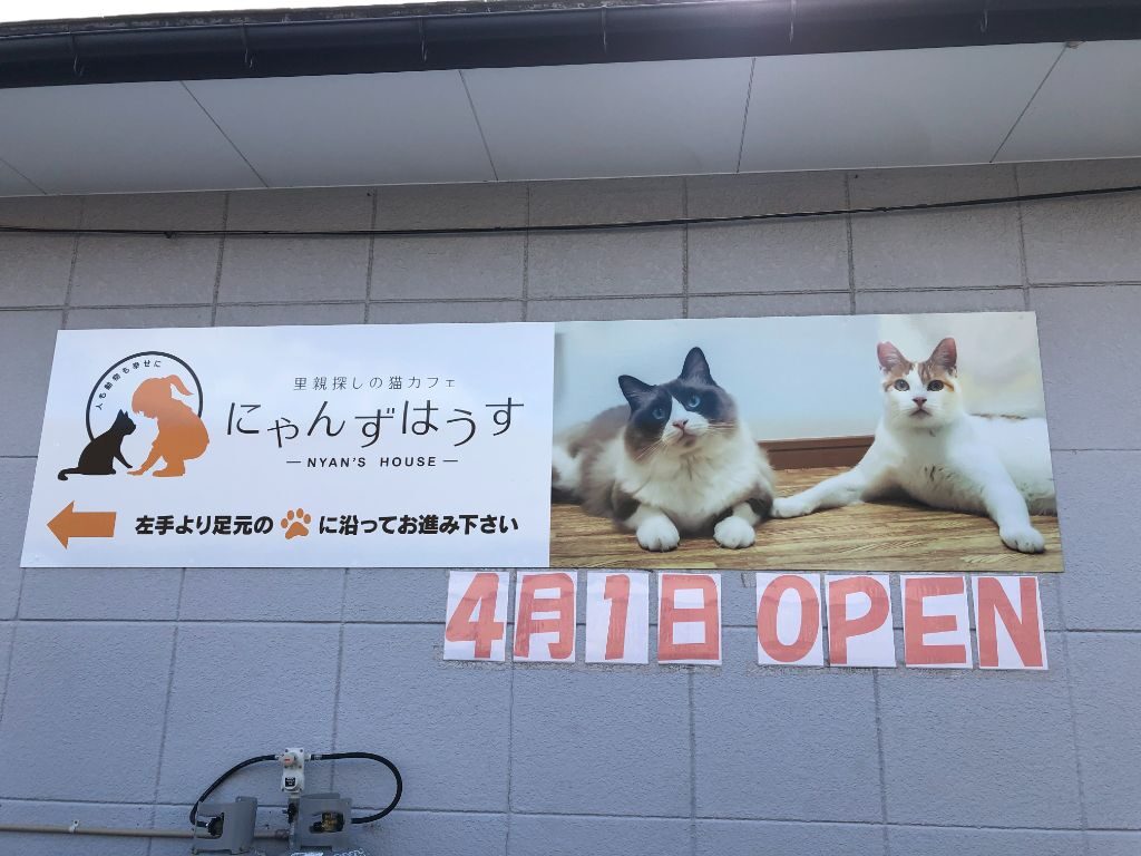 2022年4月1日開店滋賀県保護猫カフェ「にゃんずはうす」の看板
