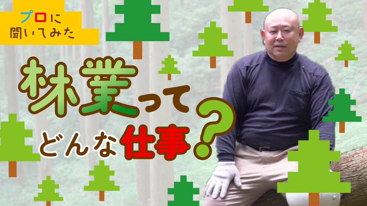 滋賀県で新しく始まった木育YouTuber「木育おやじ」の自然音が良すぎる。