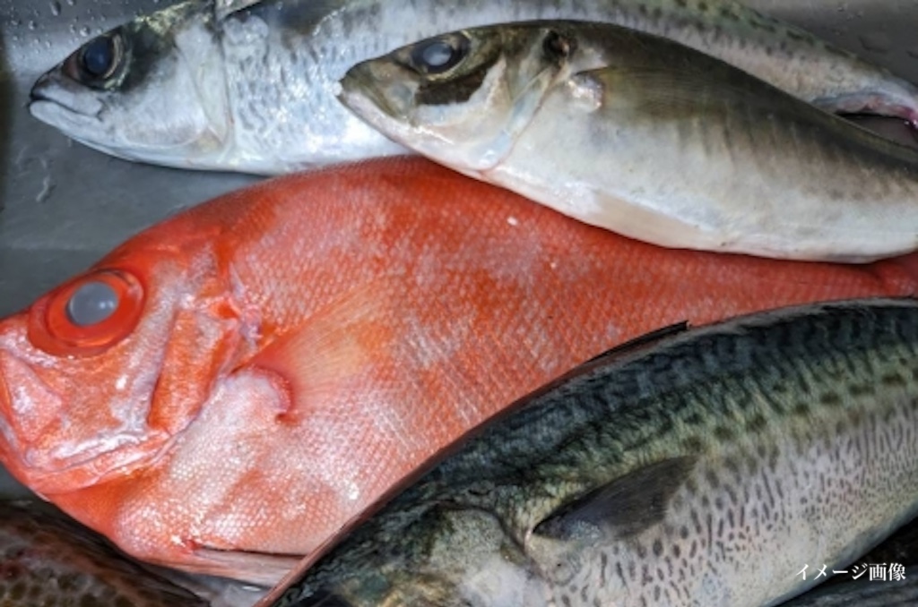 守山市に「おさかな食堂 一魚一会」がオープン！新鮮な海鮮がコスパ抜群のお値段で！
